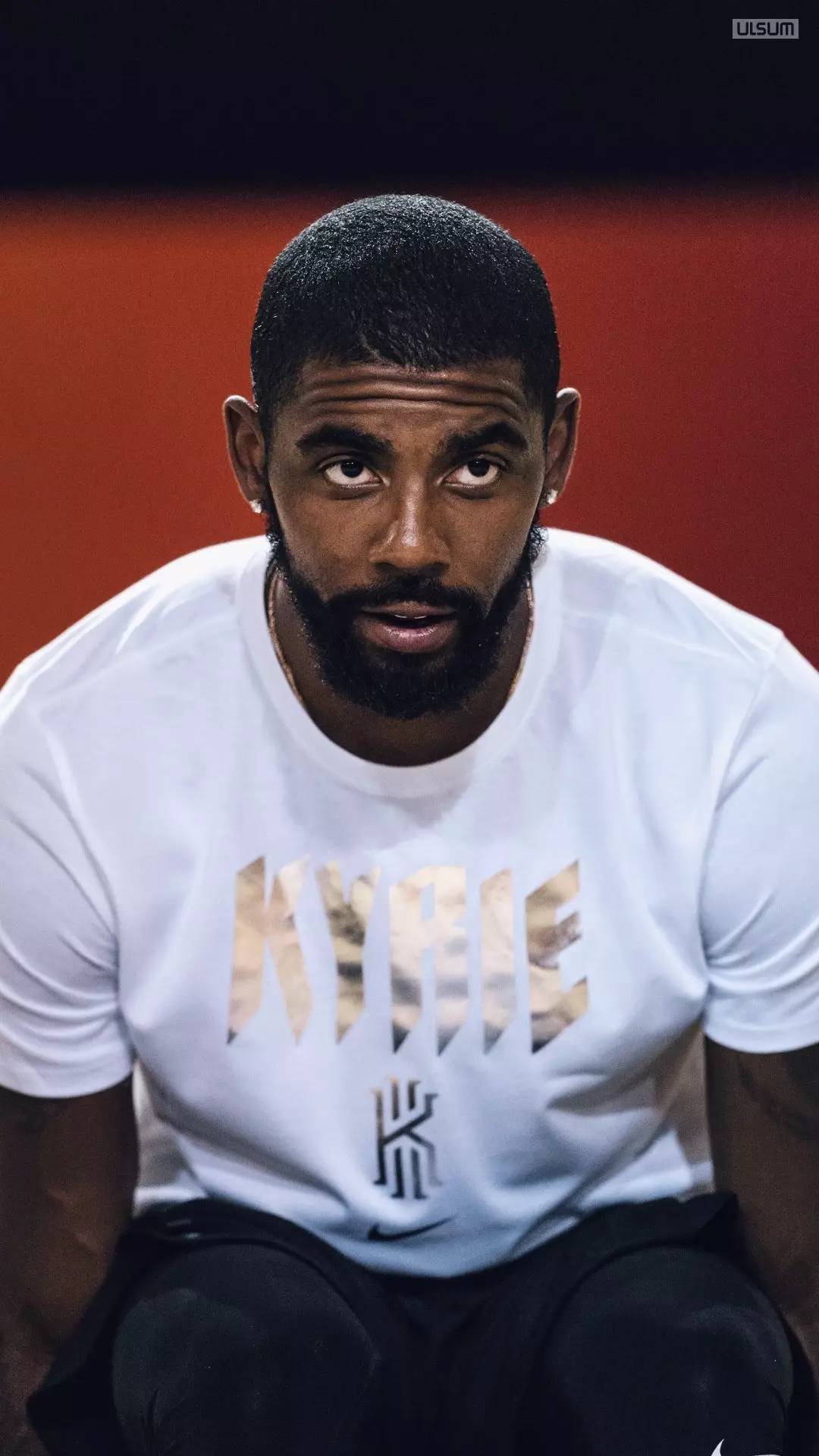 凭借使用率 凭借使用率